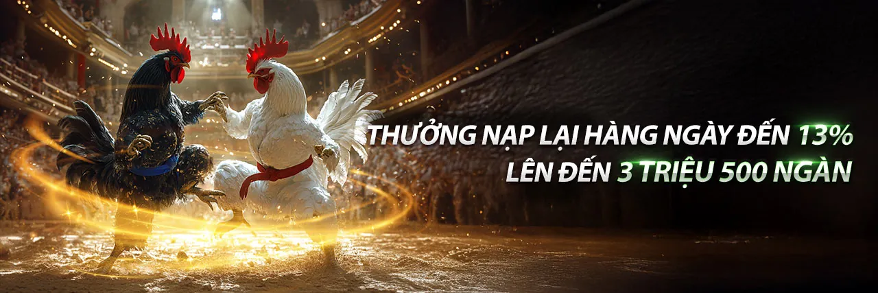 Trực Tiếp Đá Gà C3 Ngày 24 Tháng 6